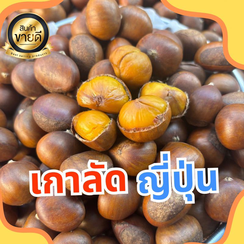 เกาลัดคั่วสด พันธุ์ญี่ปุ่น {900g}สดใหม่อร่อยหอมหวาน ไม่ต้ม ไม่ใส่น้ำมัน ล้างสะอาด คัดเกรด พร้อมทาน