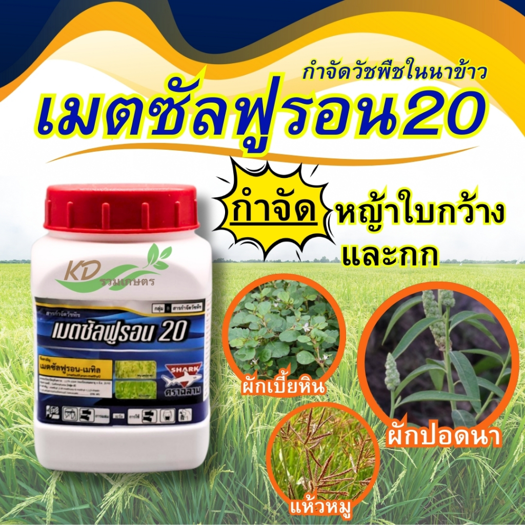 **เมตซัลฟูรอน**สารกำจัดวัชพืช ชนิดดูดซึมแบบเลือกทำลาย**กำจัดวัชพืชใบกว้างและกกในนาข้าว