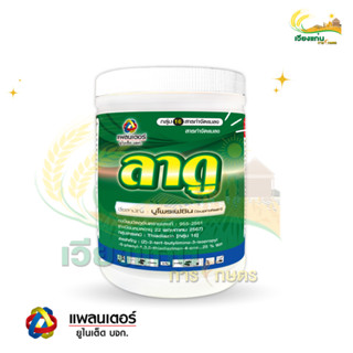 ลาดู | 1 กิโลกรัม เทพวัฒนา