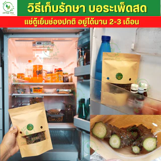 🌱บอระเพ็ดสดหย่านม เลิกเต้า ออร์แกนิก ปลอดภัย ไร้สาร มีถุงซิบล็อก เคลือกอฮอ ดูดนิ้วมือ กัดของเล่น