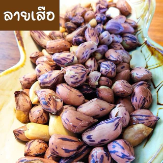 ซื้อ2แถม1 ถั่วลายเสือ+ถั่วสิ้นลายและถั่วเสือดำ(ถุงละ200กรัม จำนวน 3 ถุง)สินค้าOTOPแท้100% คั่วเกลือ ไร้น้ำมัน เตาฟืนแท้ๆ