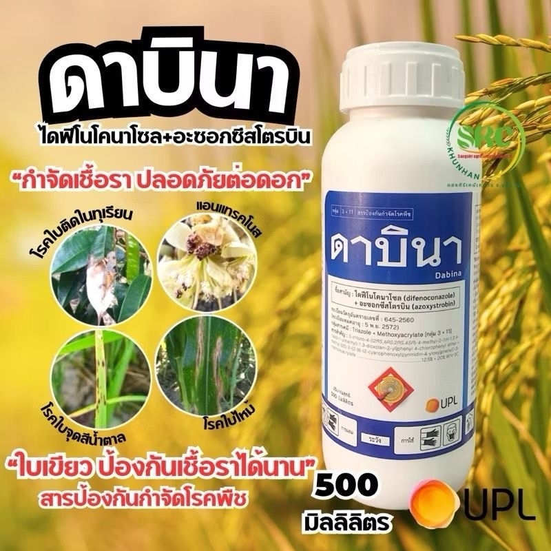 ดาบินา ขนาด 500 ซีซี ป้องกันและกำจัดโรคเชื้อราในพืช โรคกาบใบแห้ง