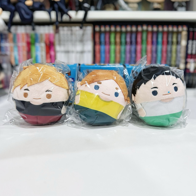 พร้อมส่ง ✅ Haikyu!! Fuwa Kororin vol.10 ฟุวะไฮคิว แบบแยกตัว