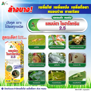 แลมป์ดา ไซฮาโลทริน สูตรเย็น ออกฤทธิ์เร็ว กำจัดหนอน หนอนเจาะต้น แมลงหวี่ขาว เพลี้ย เอเจนต้า คอร์ป ขนาด 1 ลิตร