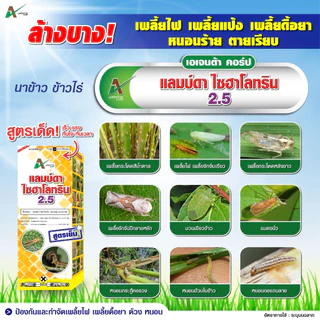 แลมป์ดา ไซฮาโลทริน สูตรเย็น ออกฤทธิ์เร็ว กำจัดหนอน หนอนเจาะต้น แมลงหวี่ขาว เพลี้ย เอเจนต้า คอร์ป ขนาด 1 ลิตร