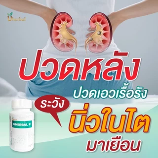 Uherbal P ยูเฮอร์เบิล พี ตัวจริง ตอบโจทย์เรื่องนิ่ว