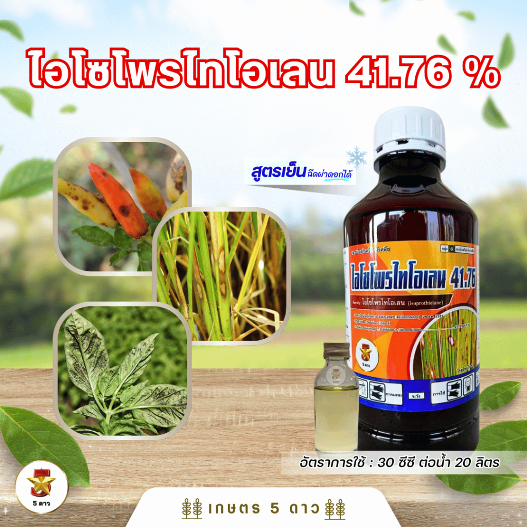 ไอโซโพรไทโอเลน 41.76% EC ขนาด 1 ลิตร โรคใบไหม้ โรคเน่าคอรวง โรคดอกกระถิน โรคเมล็ดด่างในข้าว