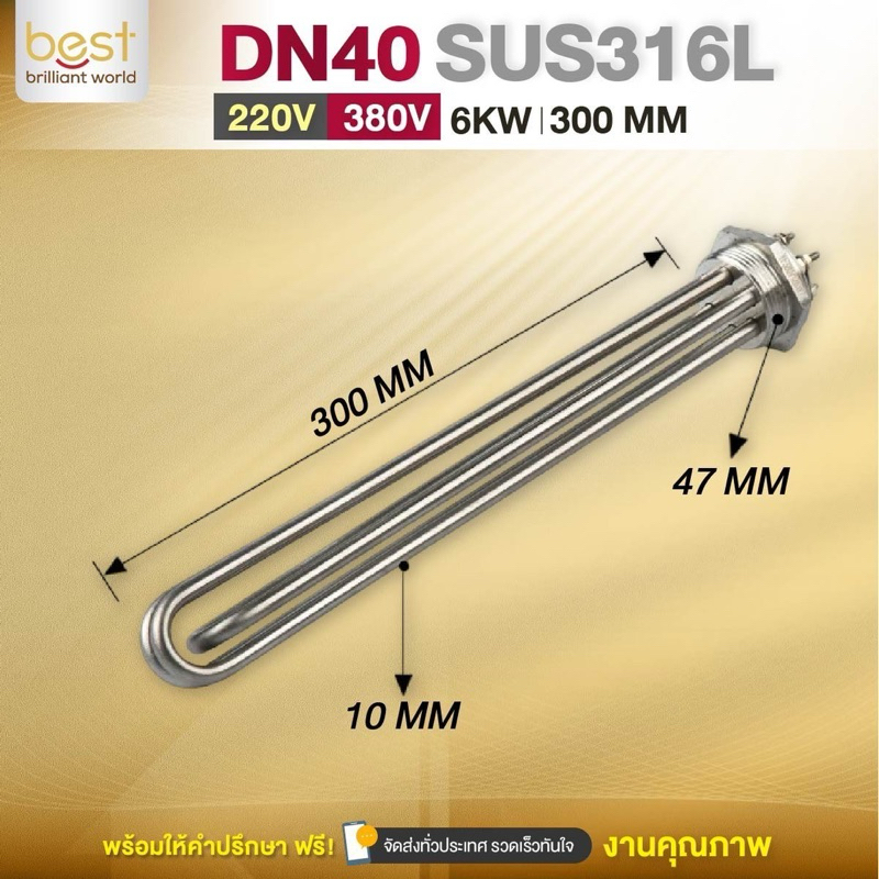 ฮีตเตอร์ต้มน้ำ/ฮีตเตอร์จุ่ม (Immersion Heater) SUS316L 6KW 220/380V DN40 (ยาว 300mm)
