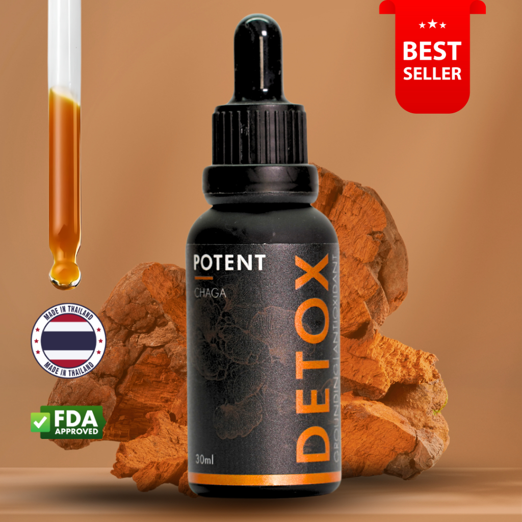 POTENT: Chaga Mushroom | 100% Pure Fruiting Body | Detox, Immune Support | No Alcohol | 1 Month