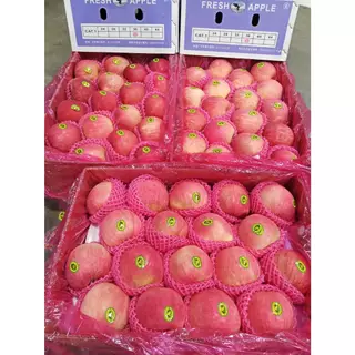 ส่งด่วน 4 ชม.แอปเปิ้ล แอปเปิ้ลฟูจิ คละแพ็คเกจ ยกลัง 24-28 ลูก สวย สด เกรดพรีเมียม หวาน เนื้อกรอบ กลิ่นหอมมาก