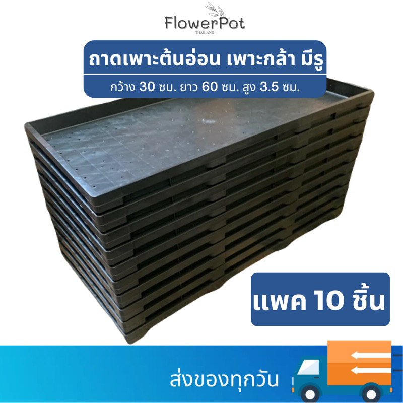(10ชิ้น) ถาดเพาะกล้า มีรู ต้นอ่อน ปลูกต้นข้าวสาลี ถั่วงอก ต้นกล้าผัก