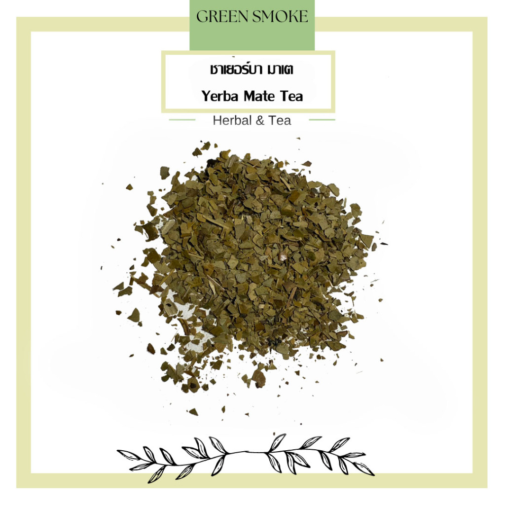 เยอร์บามาเต้ Yerba mate