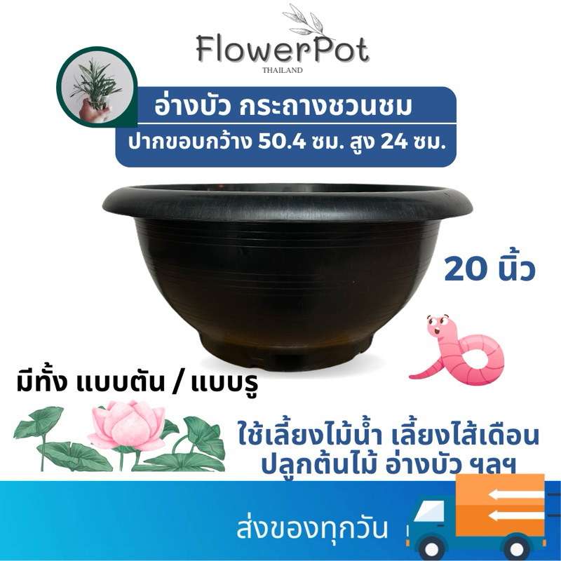 ขนาด 20 นิ้ว  กระถางชวนชม(เจาะรู) / อ่างบัว(ทึบ) สีดำ พลาสติก
