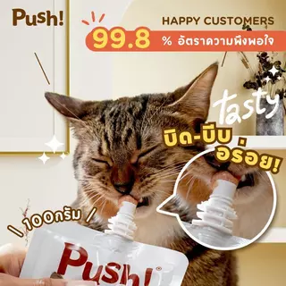 อาหารเปียกแมว Push 100g เนื้อมูส Complete & Balanced กินเป็นมื้อหลัก สารอาหารครบถ้วน