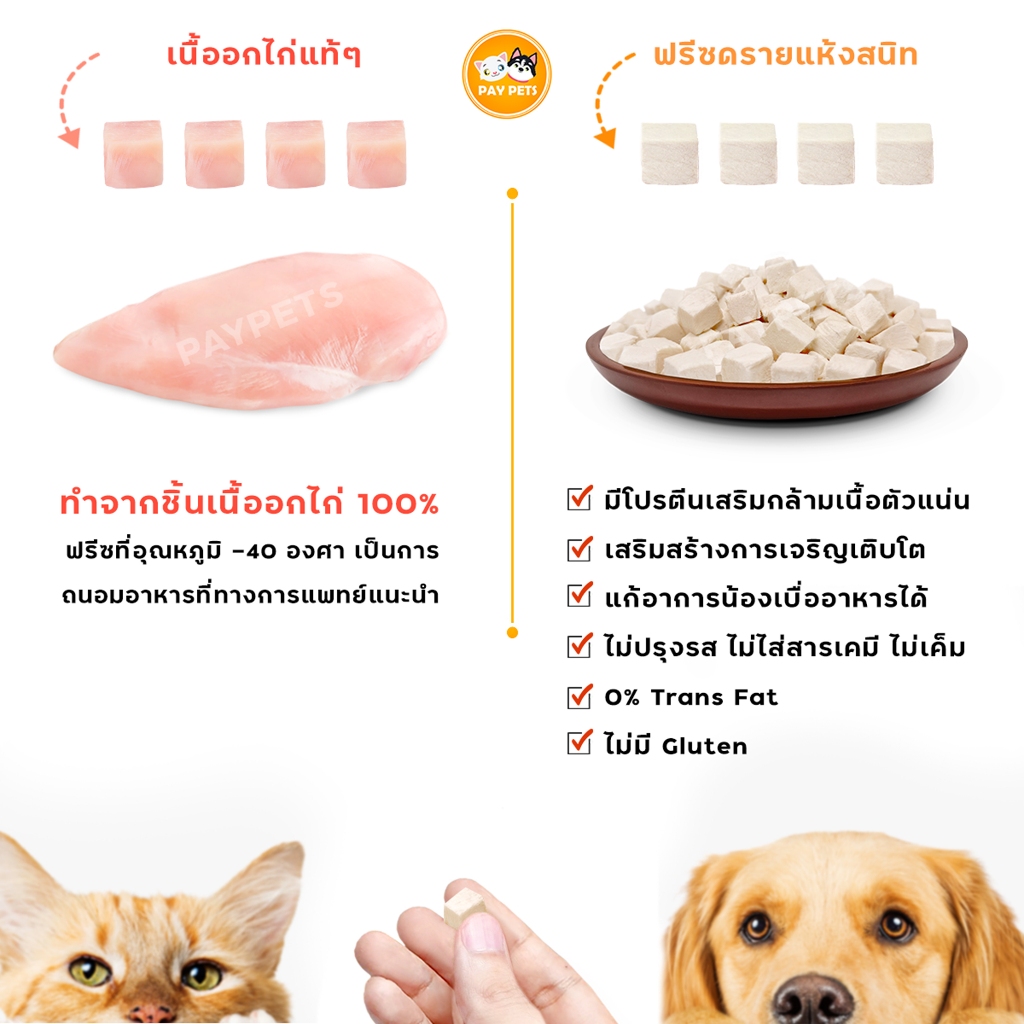 ขนมฟรีซดรายเต๋าFreeze Drie Snack อร่อย+มีประโยชน์ ฟรีซดรายเต๋าสุนัข-แมว เนื้อเน้นๆสำหรับแมวรักสุขภาพ ราคา ถูกที่สุด ดีลบีเคเค แกลเลอรีภาพที่ 2