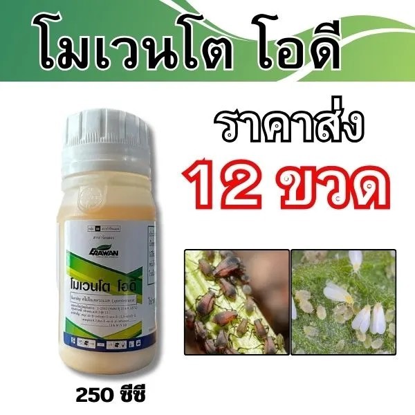 🔴ยกลัง12ขวด🔴ราคาส่ง โมเวนโต โอดี 𝐌𝐨𝐯𝐞𝐧𝐭𝐨 𝐎𝐃 ขนาด250ซีซี เพลี้ยไฟ แมลงหวีขาว เพลี้ยแป้ง เพลี้ยกระโดด แมลงบิน ดูดซึม
