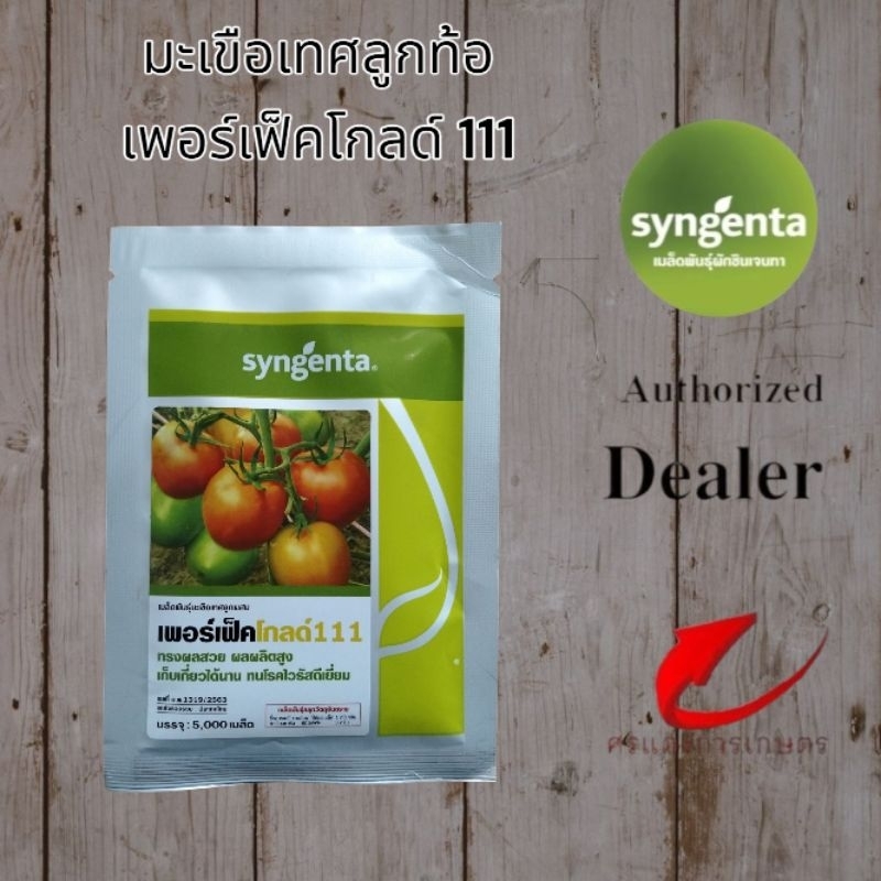 มะเขือเทศเพอร์เฟคโกลด์111 5000เมล็ด