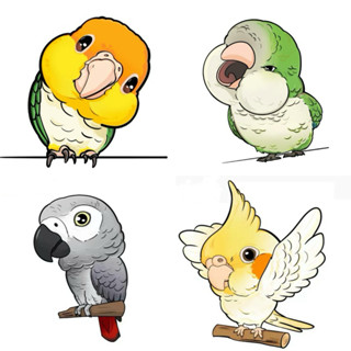 แม่เหล็กติดตู้เย็น นกแก้ว Magnet 6cm ฟอพัส เลิฟเบิร์ด ค๊อกคา…