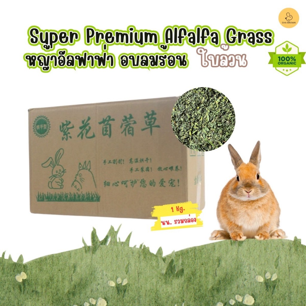 หญ้ากระต่าย หญ้าอัลฟาฟ่าอบลมร้อน Super Premium Alfalfa Grass ขนาด 1Kg.(กล่องน้ำตาล) ใบล้วน