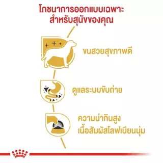 อาหารเปียก Royal Canin CHIHUAHUA ADULT สำหรับสุนัขพันธุ์ชิวาวา 12 ซอง(1 กล่อง)