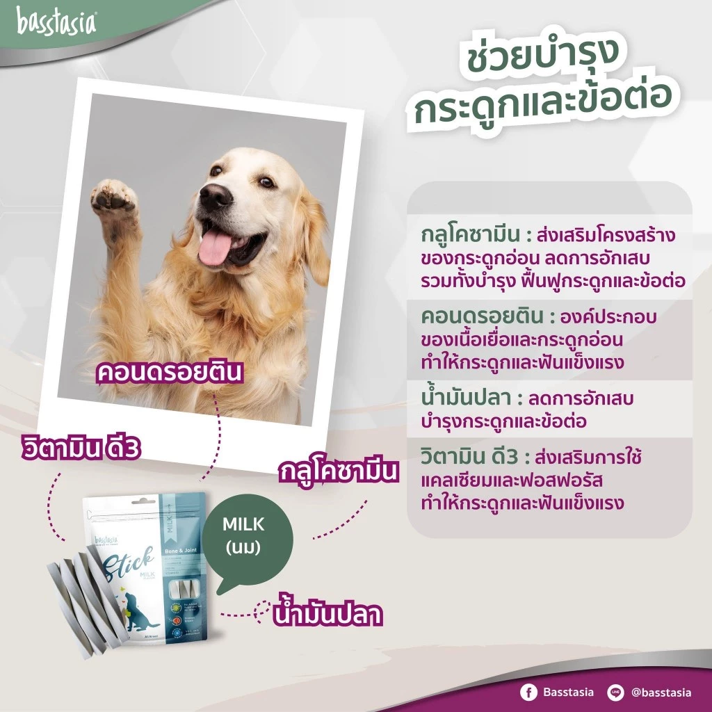 Basstasia Stick ขนมขัดฟันสาหรับสุนัข แถม Dental Stick มี 5 รส 5 ประโยชน์ ขนมขัดฟันสุนัข สินค้าคุณภาพ ขนาด 260 กรัม thumbnail 6