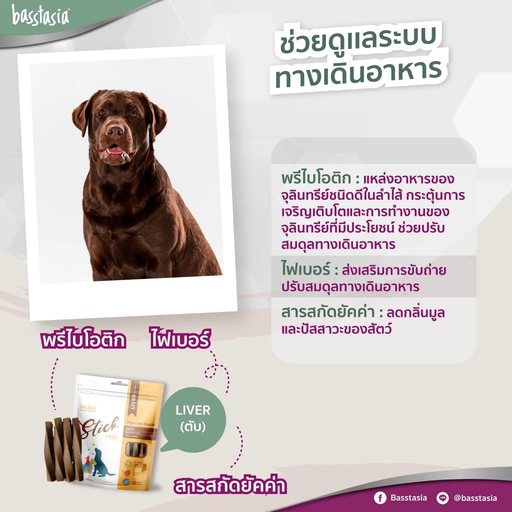 Basstasia Stick ขนมขัดฟันสาหรับสุนัข แถม Dental Stick มี 5 รส 5 ประโยชน์ ขนมขัดฟันสุนัข สินค้าคุณภาพ ขนาด 260 กรัม thumbnail 5
