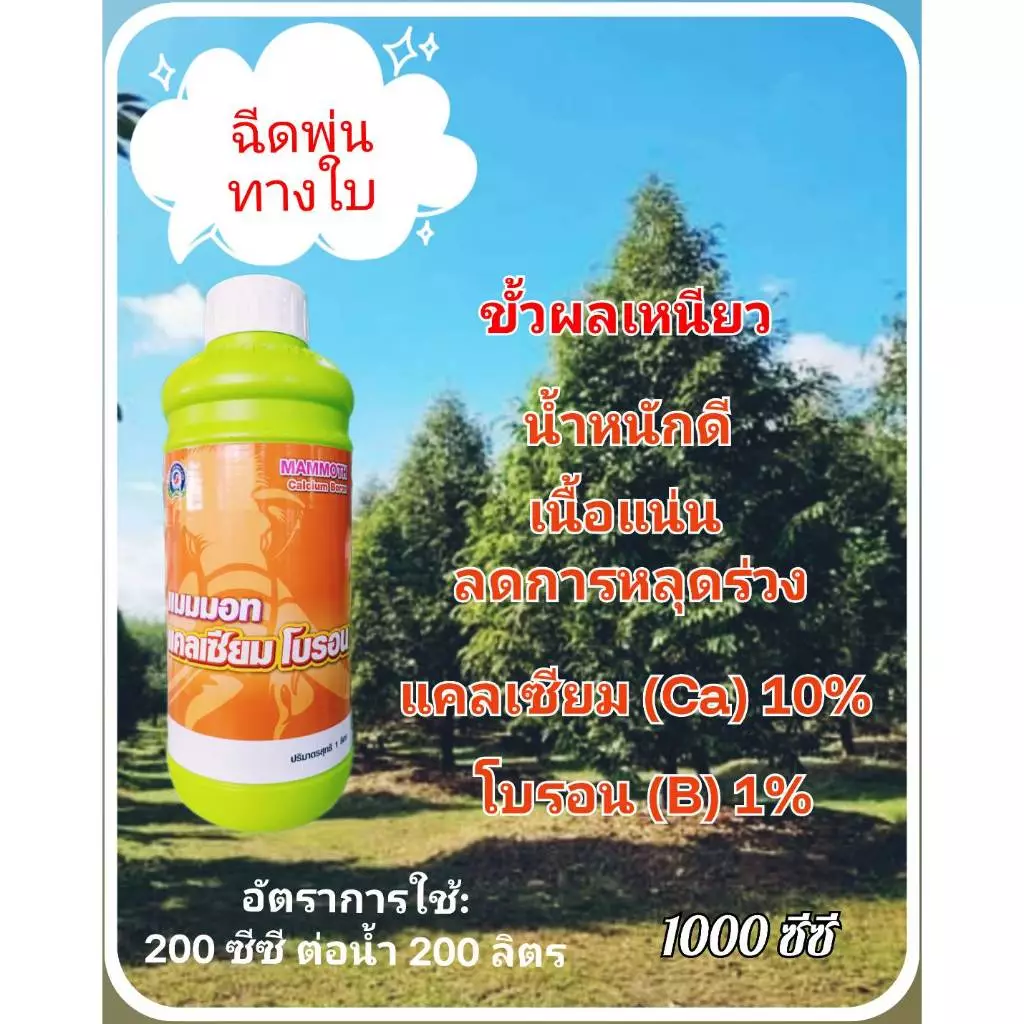 แมมมอท แคลเซียม โบรอน ขนาด 1 ลิตร แมมมอท แคลเซียม โบรอน ขนาด 4 ลิตร ลดการหลุดร่วง เพิ่มน้ำหนัก บริษัทเทพวัฒนา