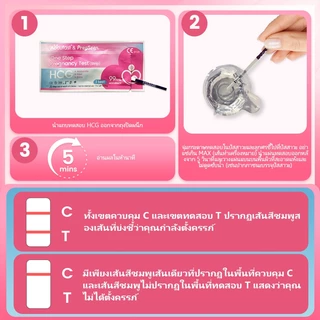 Accufast 10แถบ ตรวจครรภ์ แบบจุ่ม/ HCG ที่ตรวจครรภ์/ชุดตรวจครรภ์/ ที่ตรวจครรภ์แบบแม่นยํา ความแม่นยำ 99.99%