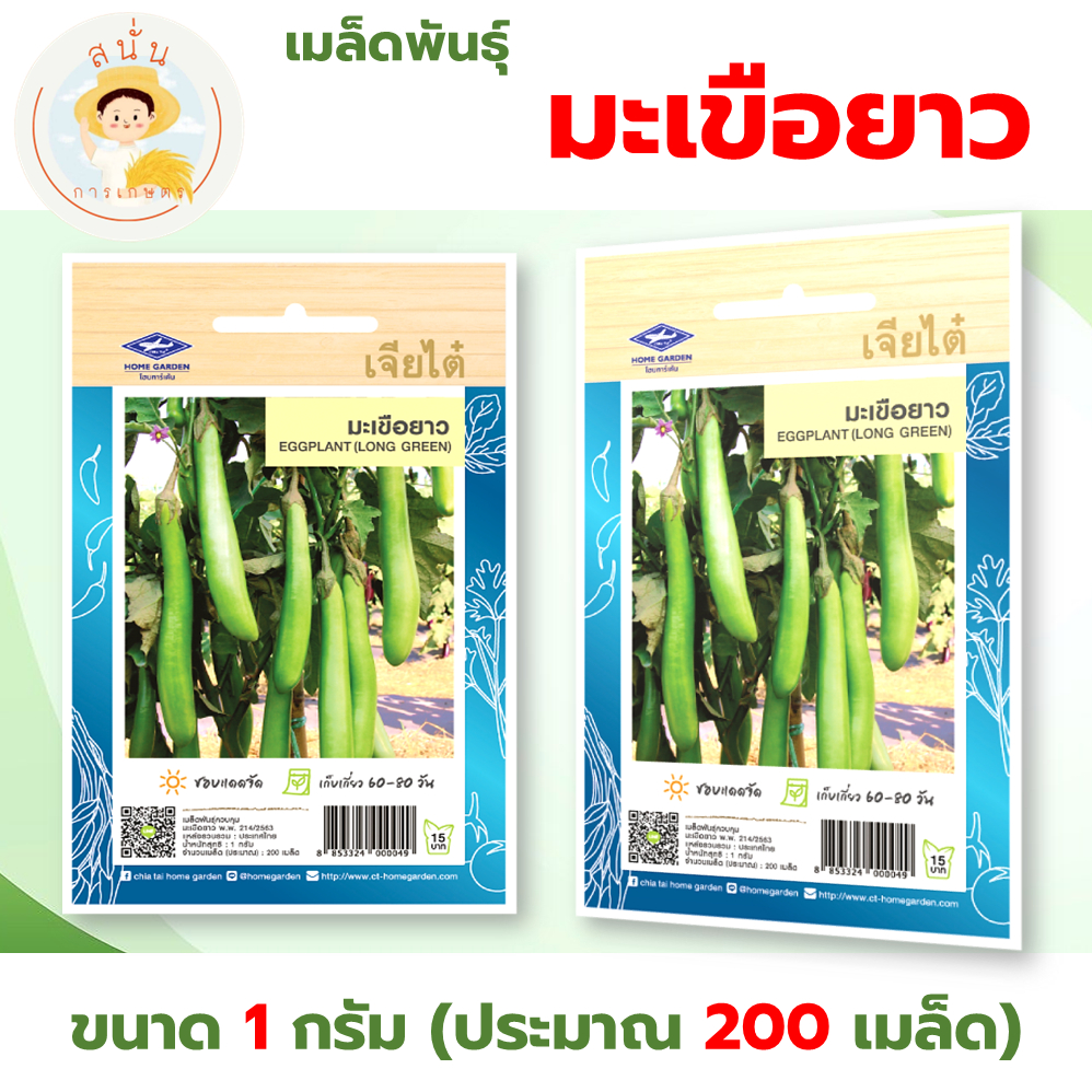 เจียไต๋ (ซื้อ10แถม2) เมล็ดพันธุ์ มะเขือยาว ขนาด1กรัม ประมาณ200เมล็ด Eggplant มะเขือยาว เมล็ดพันธุ์พืช เมล็ดผัก ปลูกผักสว