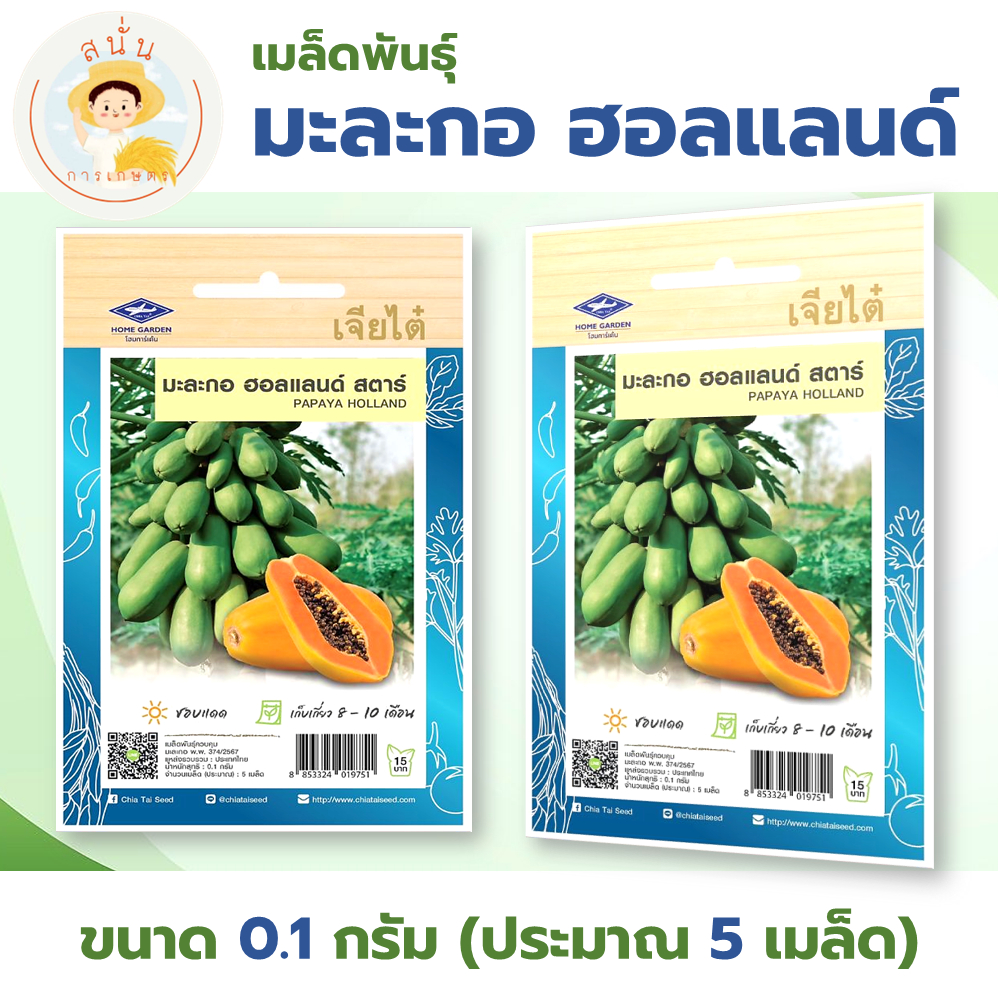 เมล็ดพันธุ์ ผักซองเจียไต๋มะละกอฮอลแลนด์