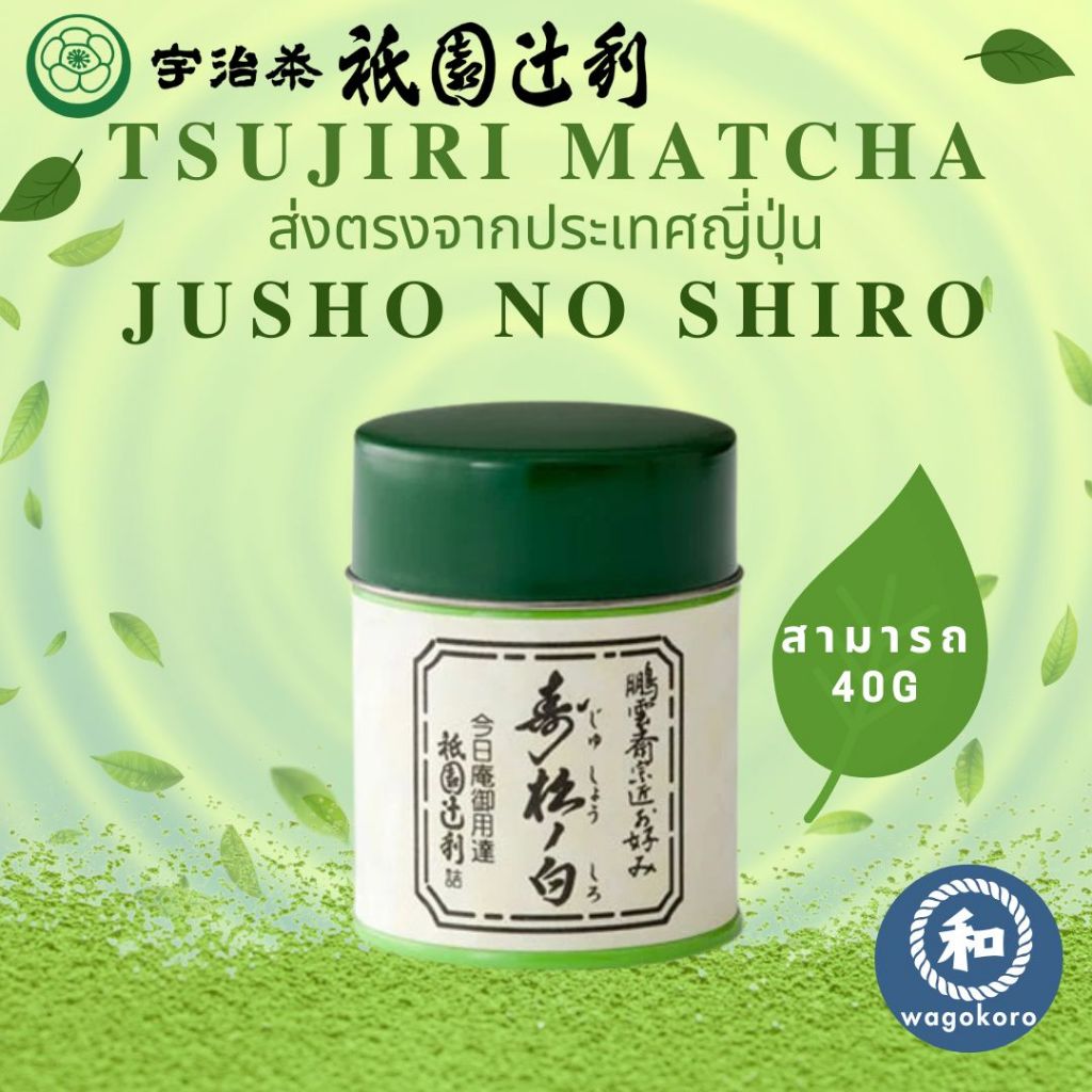 มัทฉะ Tsujiri Jusho no Shiro 40g/สามารถ Uji Matcha Gion Kyoto Matcha Powder มัทฉะ ceremonial