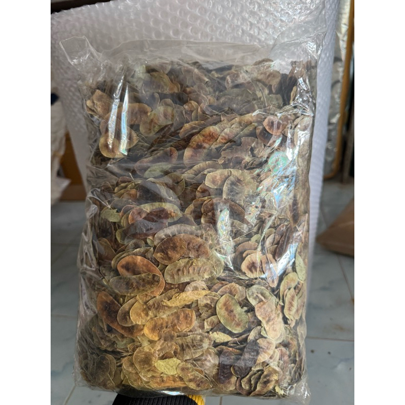 ฝักมะขาม 1Kg ฝักมะขามแขกแห้ง ออร์แกนิก ปลอดสารพิษ