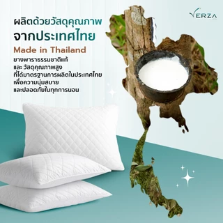 Verza Latex หมอนยางพาราไฮบริด รุ่น EcoBreath ผสานไมโครเจล ระบายอากาศดีเยี่ยม นุ่มฟูนิ่มเป็นพิเศษ
