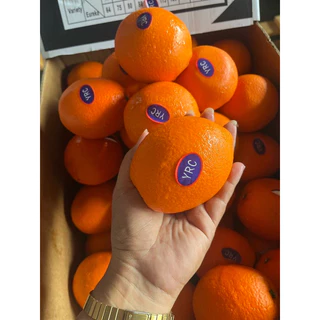 พร้อมส่ง‼️ส้มนาเวล ส้มซันคิสต์ ส้มซันควิก Navel Sunkist