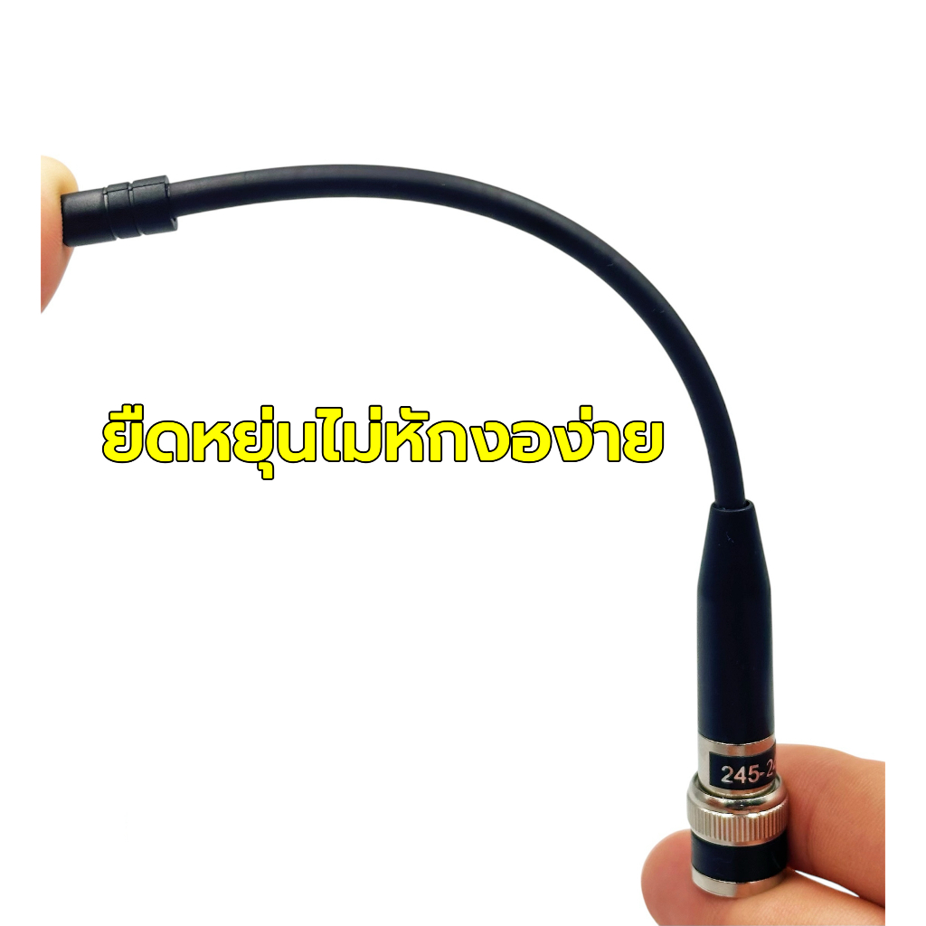 รูปภาพ 4