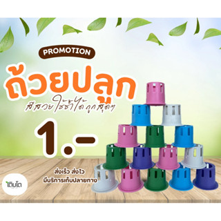ถ้วยปลูกผัก(1ใบ) คละสี ถ้วยปลูกผักไฮโดรโปนิกส์ สีสวย ใช้ซ้ำไ…
