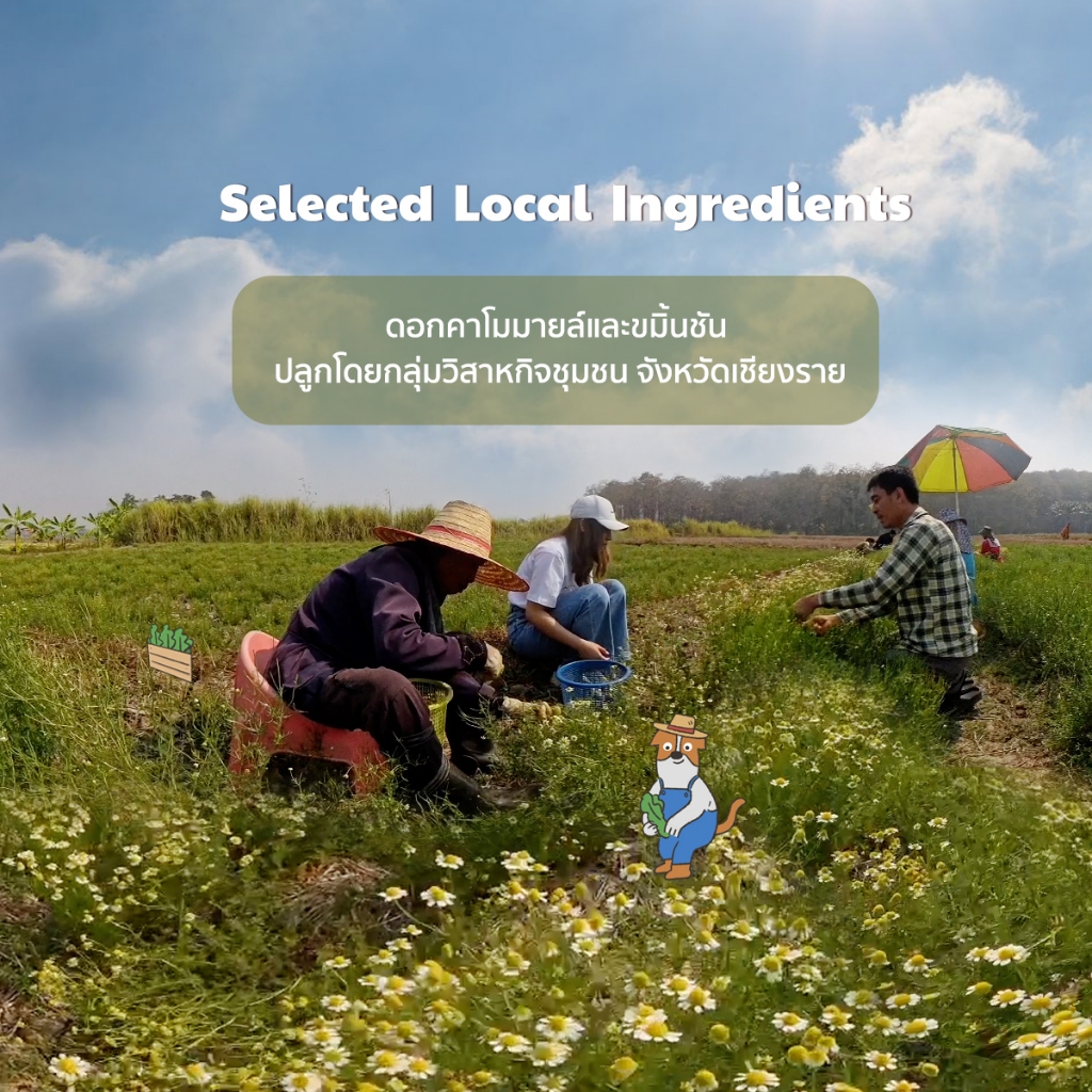 รูปภาพ 2