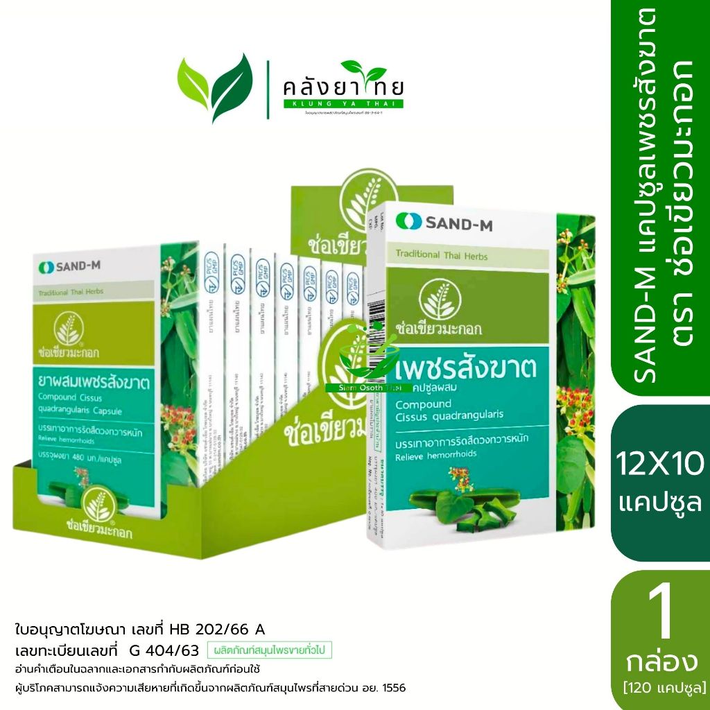 [1กล่อง120แคปซูล] SAND-M เพชรสังฆาต ช่อเขียวมะกอก  พร้อมส่ง