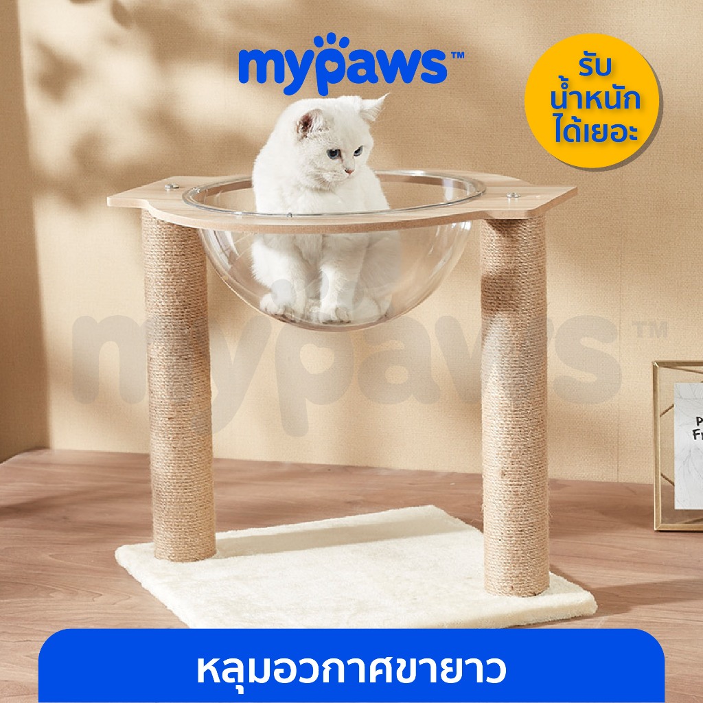 My Paws หลุมอวกาศสำหรับแมว หลุมตั้งพื้นแบบขาตั้งไม้ คอนโดแมว ขนาดเล็ก ที่นอนแมวพร้อมหลุมใสอะคริลิค