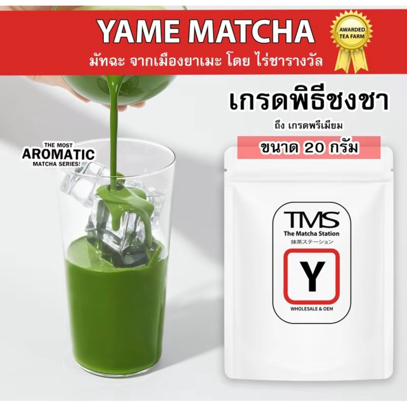 TMS YAME MATCHA (03)🍃