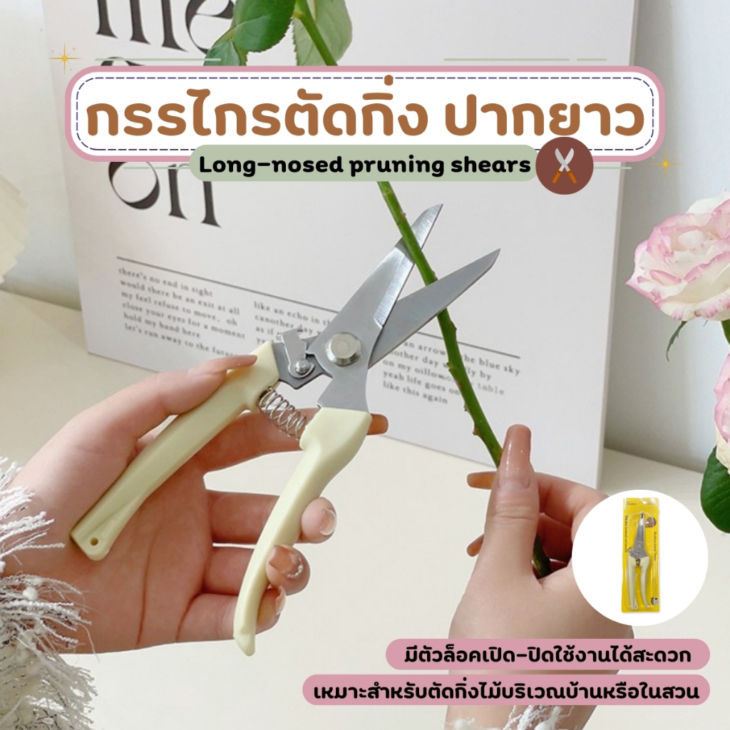 กรรไกรตัดกิ่ง ปากยาว กรรไกรสแตนเลส กรรไกรสำหรับตัดแต่งกิ่งไม้ ดอกไม้ เครื่องมือจัดทำสวน