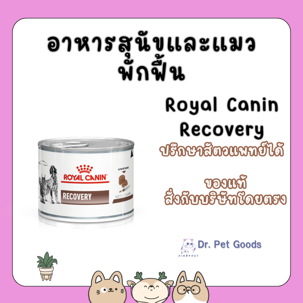 อาหารสุนัขและแมวพักฟื้น อาหารบำรุงสัตว์ป่วย #Royalcanin Recovery ปรึกษาสัตวแพทย์ได้