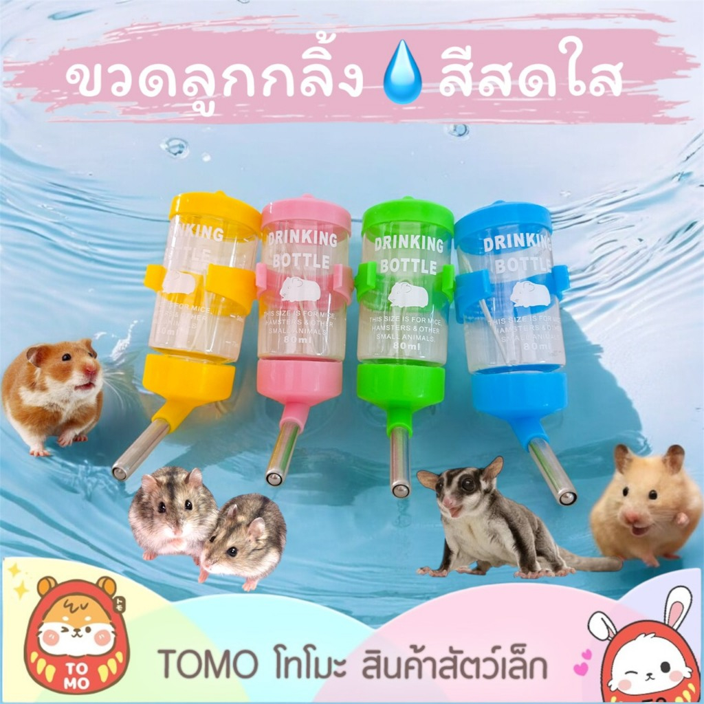 ร้านโทโมะ 💕 (ขั้นต่ำ50.-) ขวดน้ำ  ขวดน้ำลูกกลิ้ง ขวดสีพาสเทล สำหรับสัตว์เล็ก แฮมสเตอร์ ชูการ์ เจอร์บิล เม่น