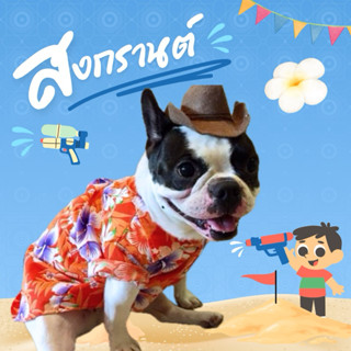 🇹🇭พร้อมส่ง🇹🇭 เสื้อหมา เสื้อแมว ลายดอก สงกรานต์ เสื้อเชิ๊ตลาย…
