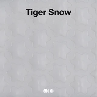 เมาส์ฟีท Esports Tiger ICE V2 / Arc 1 / Snow ของ G PRO X Superlight 1 / 2 / 2c / 2 DEX / 2 SUPERSTRIKE(SE)