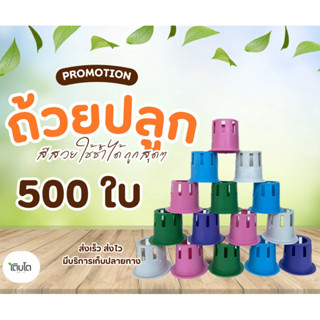 ถ้วยปลูกผักไฮโดรโปนิกส์ คละสีได้ ถ้วยปลูกผักแบบใช้ซ้ำ 500 ใบ