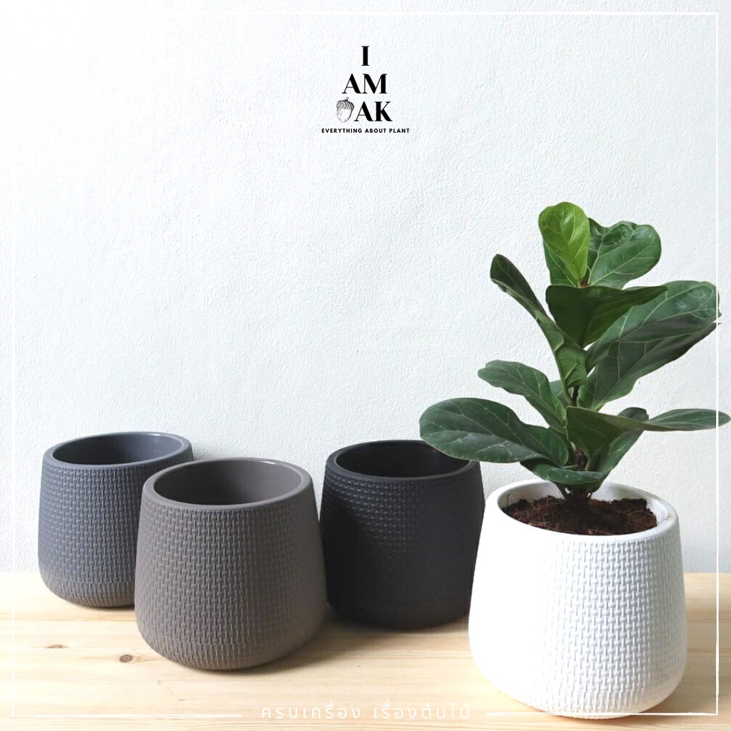 มุมมอง 3