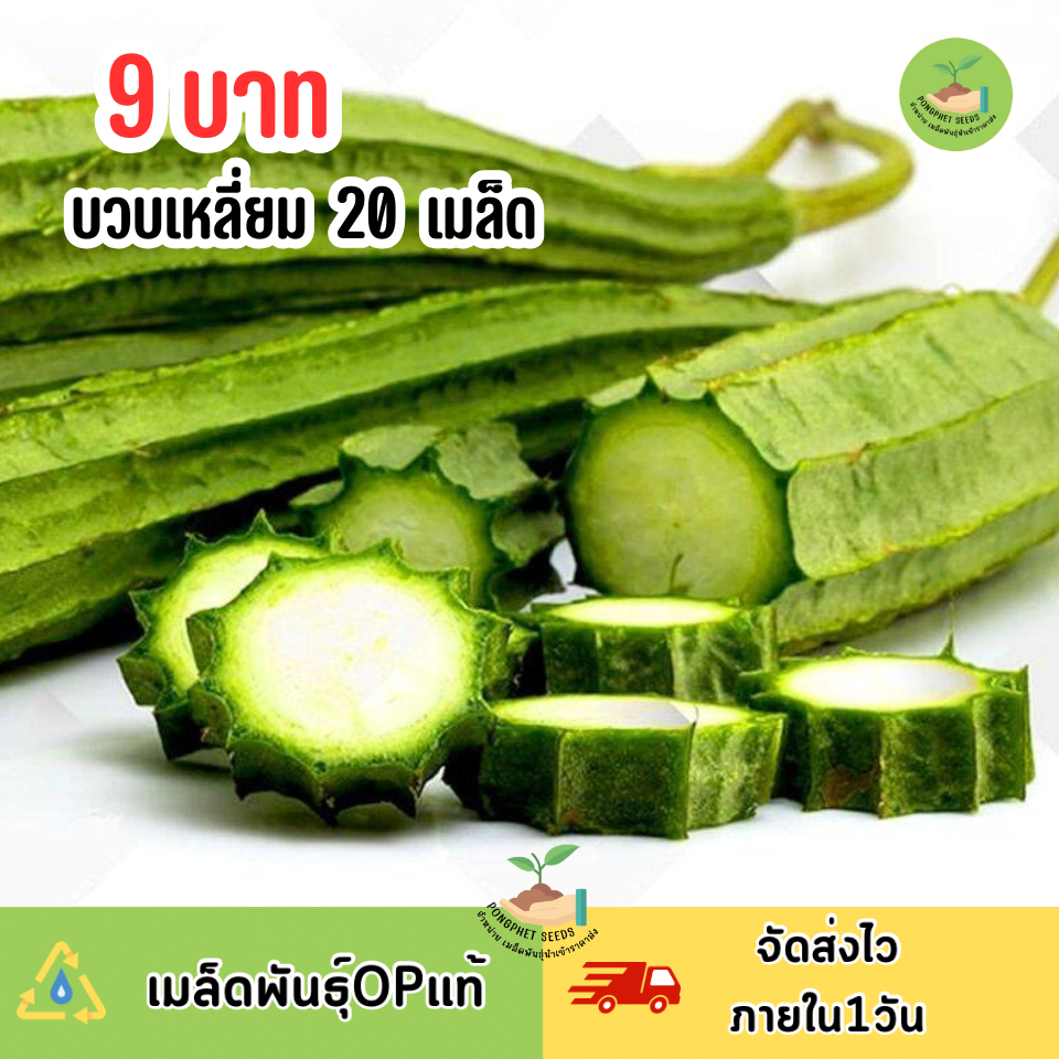 พิเศษ9บาท บวบเหลี่ยม 20 เมล็ด