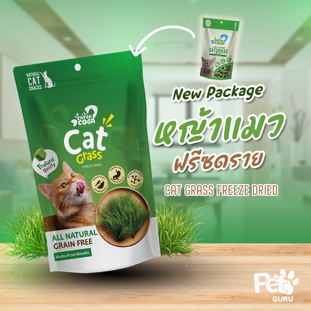 Cat Grass ต้นอ่อนข้าวสาลีอบแห้ง