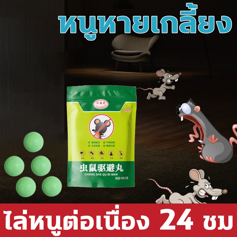 ลูกเหม็นไล่หนู น้ำมันสะระแหน่ธรรมชาติ ปลอดภัยไร้สารพิษ ใช้ง่าย ได้ผลเร็ว ไล่หนูในบ้าน โรงรถ ห้องครัว